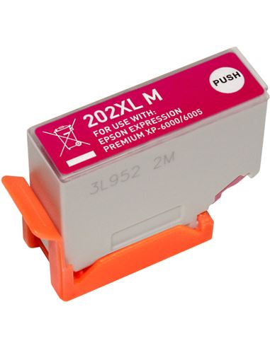 E202XM